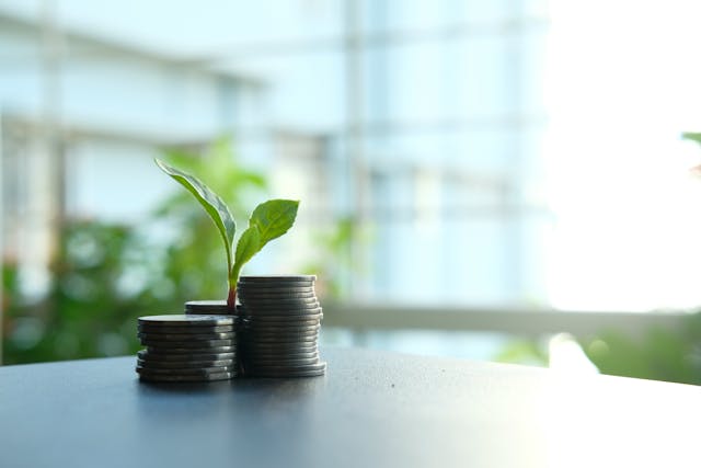 Assurance on investment pic